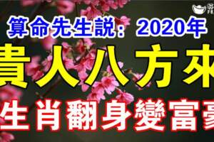 算命先生說：3生肖2020年貴人八方來，橫財不斷，翻身變富豪