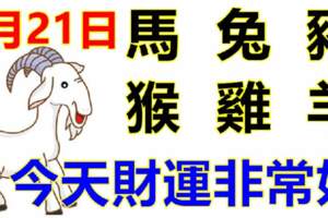 7月21日生肖運勢_馬、兔、豬大吉