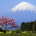 這才是觀賞富士山的正確姿勢，趕快記起來吧!