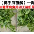 【二十年糖尿患者食用四天後即見實效】龍鬚菜（佛手瓜苗鬚）-----降低血糖