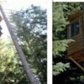 小伙耗時一年，在9米高樹上建樹屋，每天蹬自行車進屋