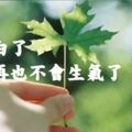 想明白了，你就再也不會生氣了（好文）