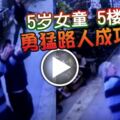 找不到爸媽，5歲女童攀5樓陽台意外墜下！勇猛路人成功接住。。。！