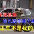 寶馬女司機將自己的車砸個稀巴爛：反正車不是我的了