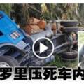 車遭樹桐羅裡「泰山壓頂」　華裔少婦喪命