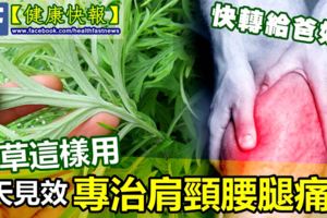 艾草這樣用，專治肩頸腰腿痛，2次就見效！快轉給爸媽！