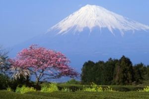 這才是觀賞富士山的正確姿勢，趕快記起來吧!