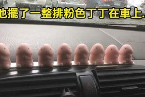 超狂車主擺「一整排小丁丁」當裝飾，沒想到某天回車上立刻崩潰，「回不去了」景象讓網友笑噴！