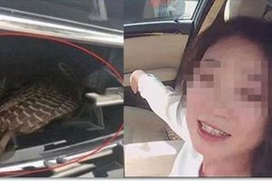 美女開自己賺到的賓士回家，路上車頭被撞，讓修理工人打開車蓋後，發現「意外驚喜」！