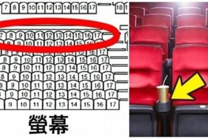 10個「電影院員工打死也不會說」的超奸詐秘密！其實「最好的位子」不是在中間！？