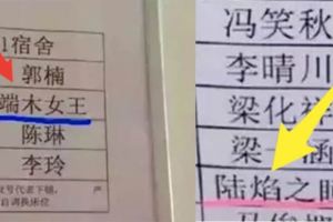 17個小孩長大後想要隱姓埋名的超中二名字，自我介紹時說大家好我叫史臻香，我不懂大家為什麼笑到倒地