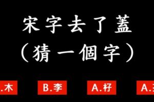 【超準心理測驗】宋字去了蓋猜一個字