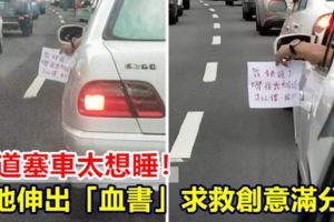 國道塞車太想睡！他伸出「血書」求救創意滿分