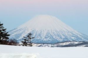 北海道已恢復歡迎來玩　海外客住房打3折　最高補貼10萬日圓！