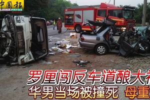 羅釐闖反車道釀大禍！華男當場被撞死母重傷