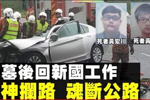 轎車羅裡相撞　釀2死2重傷悲劇