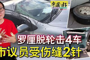 天降橫禍，羅釐脫軸「飛輪」猛擊4車，市議員受傷縫2針