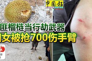 印匪榴槤當行劫武器婦女被搶700傷手臂