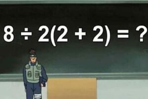 「8÷2(2＋2)=？」　答案16還是1網友吵翻？