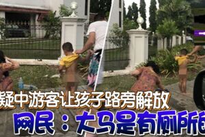 疑中遊客讓孩子路旁「解放」網民：大馬是有廁所的