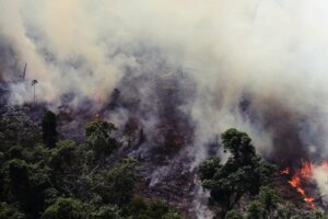 鏡頭背後／地球之肺燃燒中：巴西「亞馬遜森林大火」頻繁破紀錄