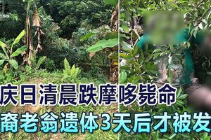 摩哆撞入路邊草叢重傷斃命，81歲華裔老翁遺體3天後才被發現！