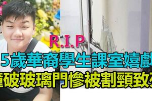 大馬少年嬉戲撞破玻璃門被割死·親友心痛盼教部關注·「須確保學校玻璃門安全」