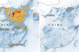 全球事業都停擺！地球空品意外「獲得淨化」　自然環境變健康