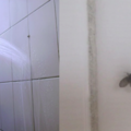 廁所裡常見的『小飛蟲』，原來是從這些地方出來的！一定要知道「牠」竟然會傳染病毒！教你這樣消滅它們