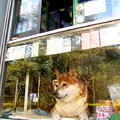 日本這家毫不起眼的便利店，可能是世界上最多遊客想到訪的便利店！