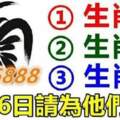 （雞，龍，豬）5月26日請為他們轉走