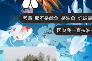 媽媽做菜油魚鱈魚傻傻分不清，女兒吃完不停拉油覺得累！爸爸的反應讓她更加懷疑自己不是親生的