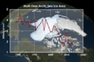 美研究：北極冰層縮減 與致命動物疾病散播有關
