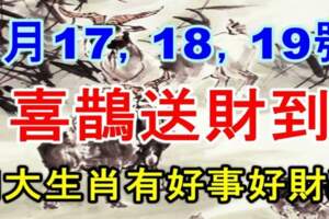 8月17，18，19號喜鵲送財到，四大生肖有好事好財運