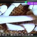 4歲女童吃野生蘑菇去世！日常生活中這些食物也自帶毒素，別吃！