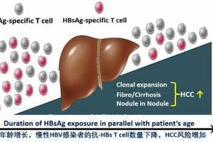 魯鳳民教授：HBeAg陰性患者NA停藥誘發HBsAg陰轉和臨床治癒，我們準備好了嗎？