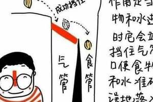 喝水進食嗆咳，吞咽困難，原因？怎麼應對？