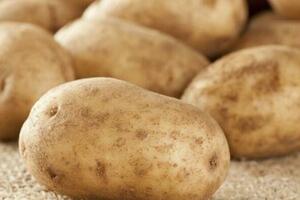 市場賣的土豆越來越大，是打了膨大劑嗎？會不會致癌？告訴你真相