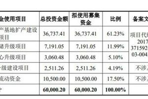 寵物消費也「瘋狂」！麥富迪母公司超額募資 上市股價維持高位