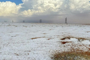 沙漠下雪了！沙烏地阿拉伯變「冰雪樂園」罕見奇景曝