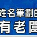 什麼姓名筆劃的人，就是有老闆命？