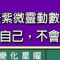 什麼紫微靈動數的人，會照顧好自己，不會拖累家人