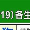 情況很緊急~8/13~8/19 各生肖整體運勢