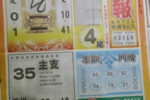 4/5 六合【火報，鶴仙子，白小姐】多張選擇，選對了就讓你234星開心中。參考。