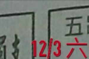 12/03 六合 ~ 【五路財神到】 ¤ <冠軍鴿>¤參考。。參考