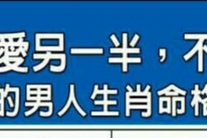 照顧疼愛另一半，不求回報的男人生肖命格