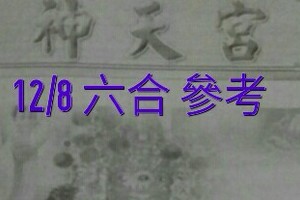 12/8 六合 【神天宮】。參考。參考。