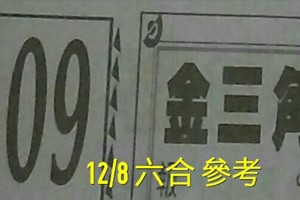 12/8 六合 。【金三角】【天天發】 。。參考。參考。。