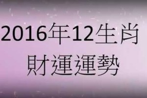 2016年十二生肖財運篇。。 超重要的，趕快看看。。。