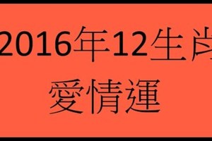 2016年 12生肖 愛情運 。。分享。。